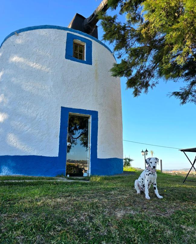 Casal Do Moinho Villa Enxara do Bispo Eksteriør billede